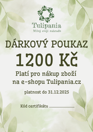 DÁRKOVÝ POUKAZ 1200 Kč