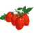 Kečupová rajčata - semínka | Tulipania.cz Kečupová rajčata - semínka | Tulipania.cz